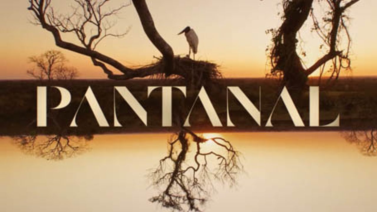 Pantanal soap opera